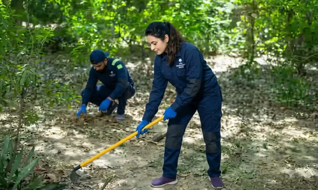 Garden Cleaning